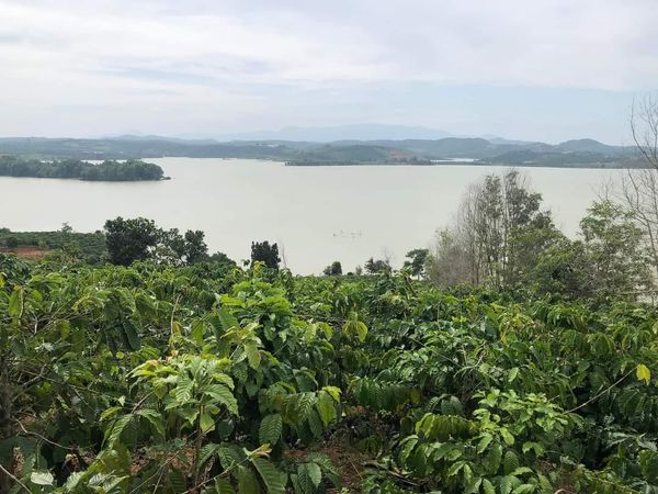 bất động sản Hồ Đại Ninh